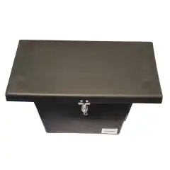 Pioner 10, Pioner 12, Pioner 13