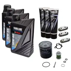 For &aring;rlig service (100 Timer)